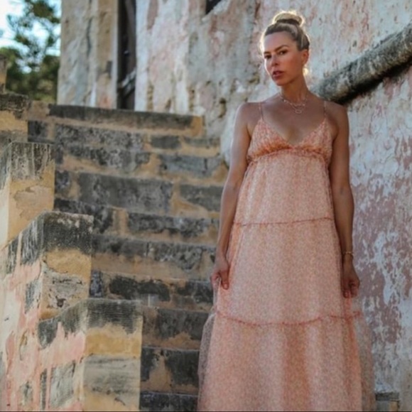 NWOT🌸Blogger’s Favorite Organza Dress - Picture 2 of 16